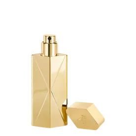 Globe Trotter Luxury Travel Spray Case - Gold Edition