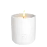 view-of-the-park-scented-candle (1).webp